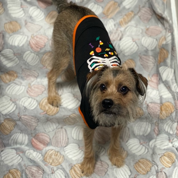 Meet your Posher, ZoZe - Picture 6 of 6